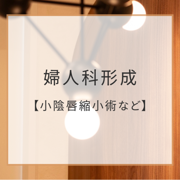 婦人科形成（小陰唇縮小術）について