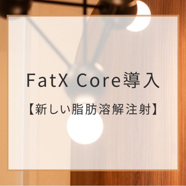 脂肪溶解注射・FatX Core（ファットエックス コア）を導入