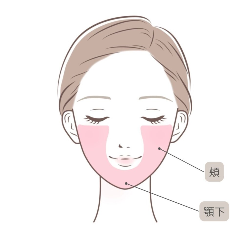 CLINIC W オンダリフト施術可能部位｜顔